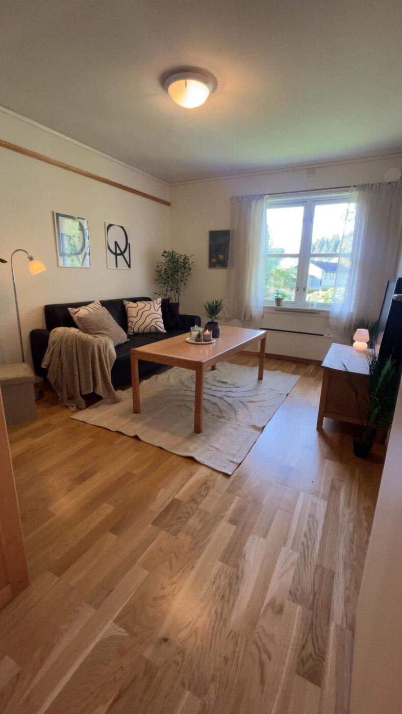 Stue med sofa, sofabord og TV